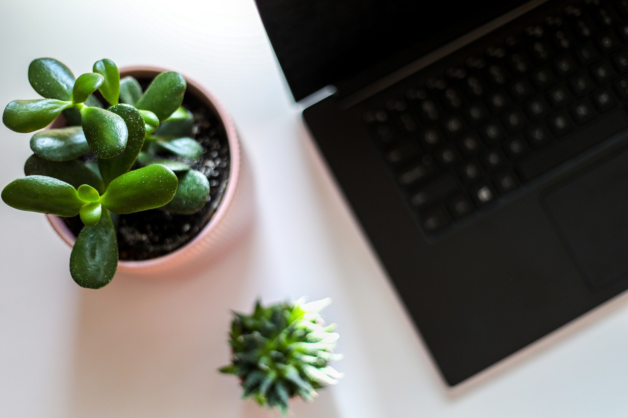 laptop, plant, desk-4948837.jpg